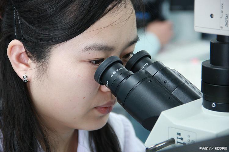 我是如何考上医学研究生的:我的备考故事与经验分享